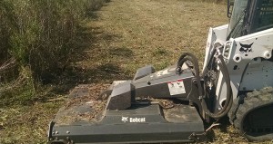 Brush Cutting