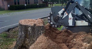 Stump Grinding